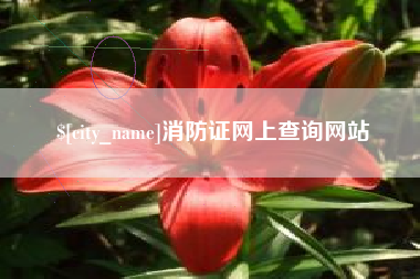 潜江消防证网上查询网站