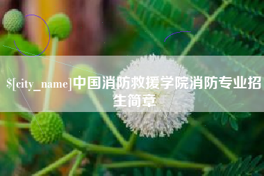 潜江中国消防救援学院消防专业招生简章