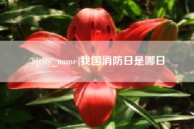 潜江我国消防日是哪日