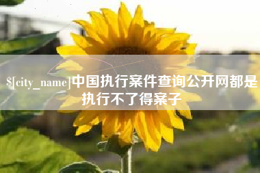 潜江中国执行案件查询公开网都是执行不了得案子