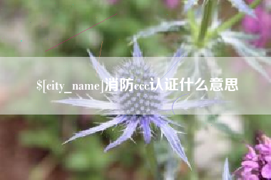 潜江消防ccc认证什么意思