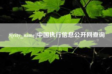 潜江中国执行信息公开网查询