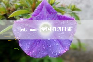 潜江全国消防日哪一