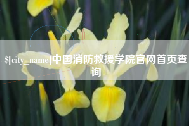 潜江中国消防救援学院官网首页查询
