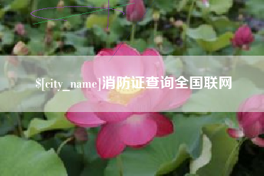 潜江消防证查询全国联网