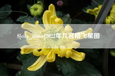 潜江2022年九宫格飞星图