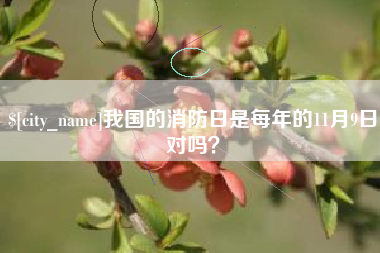 潜江我国的消防日是每年的11月9日对吗？