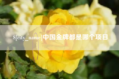 潜江中国金牌都是哪个项目