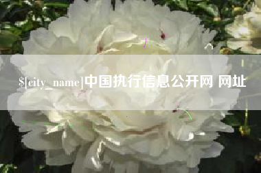 潜江中国执行信息公开网 网址