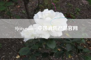 潜江中国消防产品官网