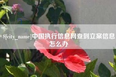 潜江中国执行信息网查到立案信息怎么办
