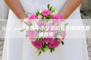 潜江全国中小学消防公开课网络直播视频