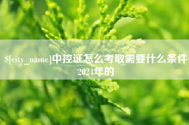 潜江中控证怎么考取需要什么条件2024年的