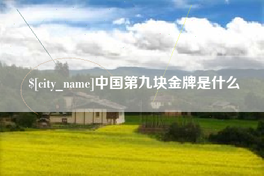 潜江中国第九块金牌是什么