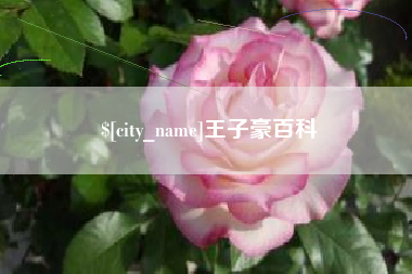 潜江王子豪百科