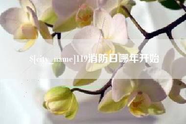 潜江119消防日哪年开始