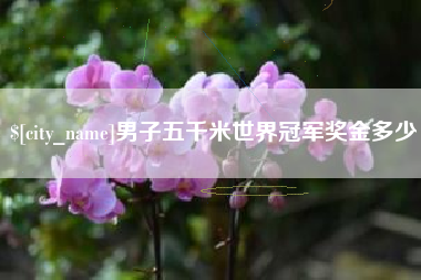 潜江男子五千米世界冠军奖金多少