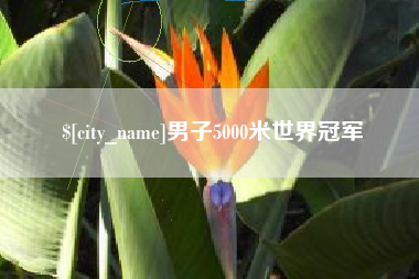 潜江男子5000米世界冠军