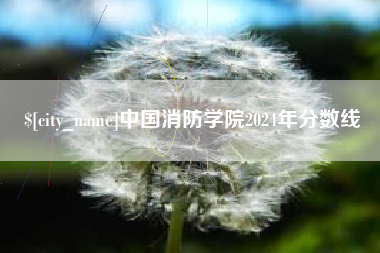 潜江中国消防学院2024年分数线