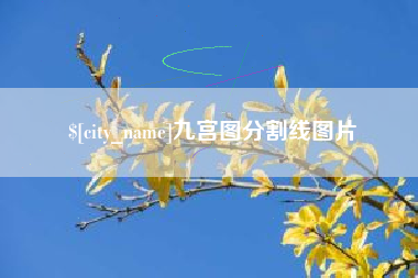 潜江九宫图分割线图片