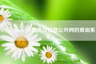 潜江中国执行信息公开网的查询系统