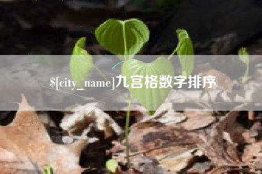潜江九宫格数字排序