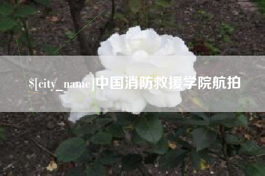 潜江中国消防救援学院航拍