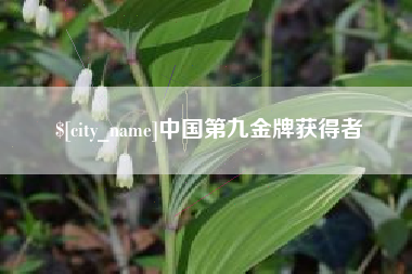 潜江中国第九金牌获得者