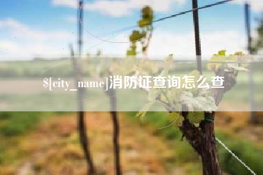潜江消防证查询怎么查