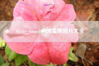 潜江中国金牌图片大全