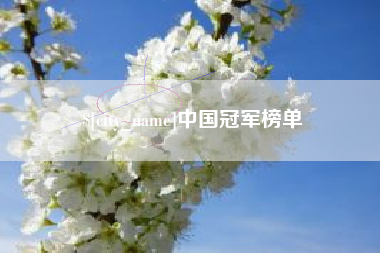 潜江中国冠军榜单