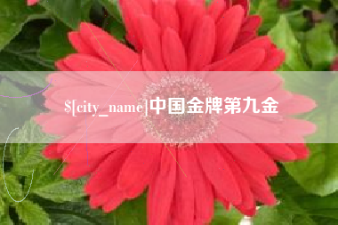 潜江中国金牌第九金