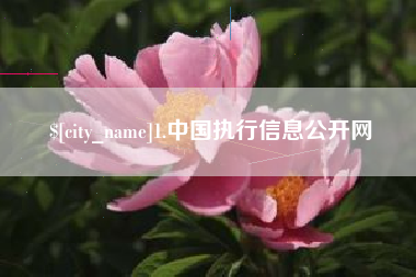 潜江1.中国执行信息公开网