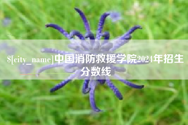 潜江中国消防救援学院2024年招生分数线