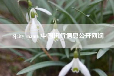 潜江中国执行信息公开网询