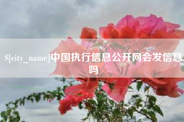 潜江中国执行信息公开网会发信息吗