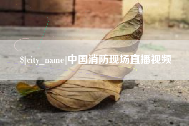 潜江中国消防现场直播视频