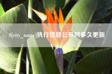 潜江执行信息公开网多久更新