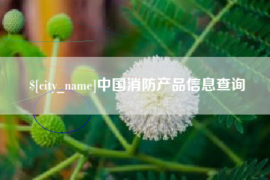 潜江中国消防产品信息查询