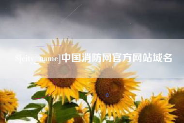 潜江中国消防网官方网站域名