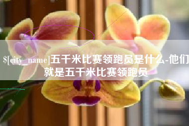 潜江五千米比赛领跑员是什么-他们就是五千米比赛领跑员