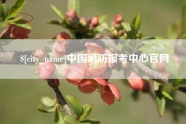 潜江中国消防报考中心官网