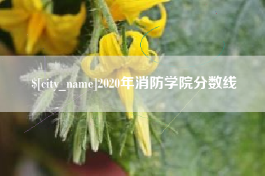 潜江2020年消防学院分数线