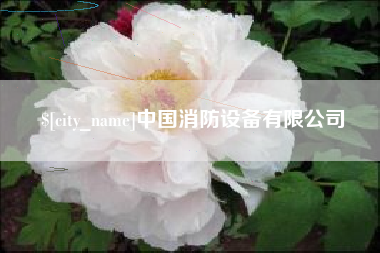 潜江中国消防设备有限公司
