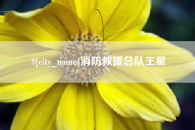 潜江消防救援总队王星