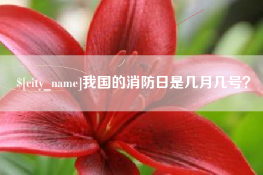 潜江我国的消防日是几月几号？