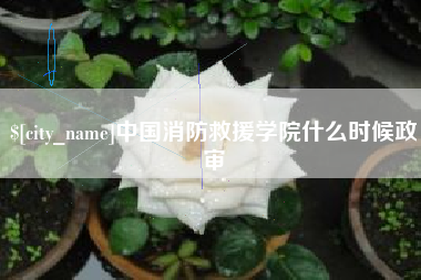 潜江中国消防救援学院什么时候政审