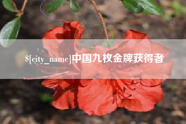 潜江中国九枚金牌获得者