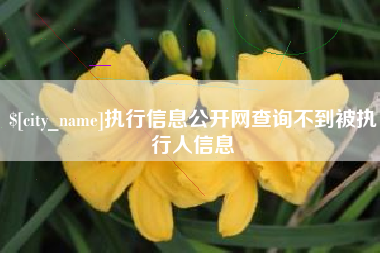 潜江执行信息公开网查询不到被执行人信息