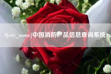 潜江中国消防产品信息查询系统1